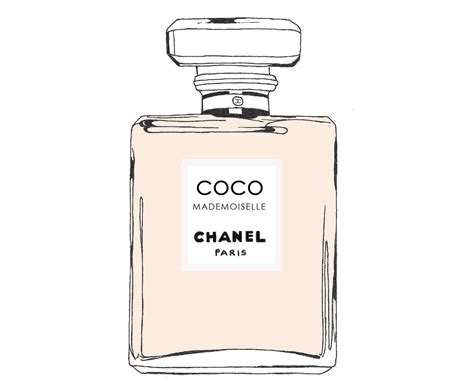 coco chanel perfume vector